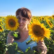 ���������� ������������-��������, ���� ������� ������, 45 ���, ������������ ��� ����� � ���������, c�������� ���������, ���������