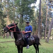 ���������� ���������, ���� ������� ���������, 36 ���, ������������ ��� ������, ����� � ���������, c�������� ���������