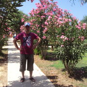 ���������� ���������, ���� ������� ����, 38 ���, ������������ ��� ����� � ���������, c�������� ���������, ���������