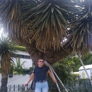  ,   , 57 ,   
