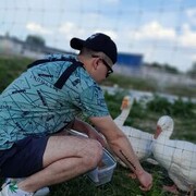 ���������� ������, ���� ������� Alexander, 34 ����, ������������ ��� ������, ����� � ���������, c�������� ���������, ���������