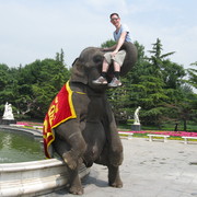 ���������� �������, ���� ������� ������, 42 ����, ������������ ��� ������, ����� � ���������, c�������� ���������