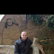 ���������� ������������, ���� ������� ������, 44 ����, ������������ ��� ����� � ���������, c�������� ���������