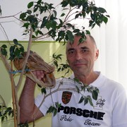  ,   , 59 ,   ,   , c 
