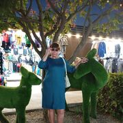 ���������� ������������, ���� ������� ������, 66 ���, ������������ ��� ������, ����� � ���������