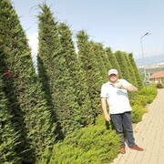 ���������� �����-�����, ������� ��������, 53