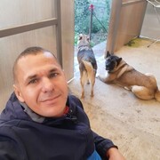  ,   , 37 ,   ,   