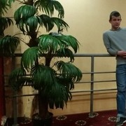  ,   , 28 ,  