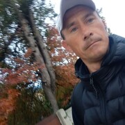  ,   , 40 ,   ,   