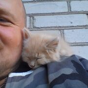  ,   , 44 ,   ,   , c , 