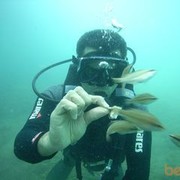 ���������� �����������, ���� ������� 1977WOLF, 49 ���, ������������ ��� ������