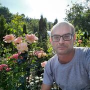 ���������� ����, ���� ������� �������, 45 ���, ������������ ��� c�������� ���������