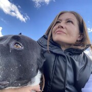 ���������� ���������, ���� ������� �����, 44 ����, ������������ ��� c�������� ���������