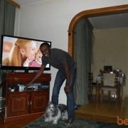 ���������� ������, ���� ������� Patcol, 40 ���, ������������ ��� ������