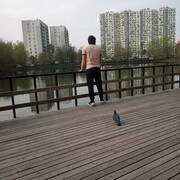 ���������� ������, ���� ������� ����, 31 ���, ������������ ��� ������, ����� � ���������, c�������� ���������