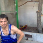 ���������� ����, ���� ������� ������, 41 ���, ������������ ��� ������