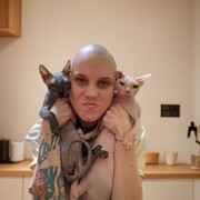 ���������� ���������, ���������