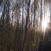 ���������� �������, ���� ������� Sashka, 31 ���, ������������ ��� ������, ����� � ���������, c�������� ���������