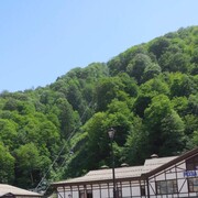 ���������� �������, ���� ������� ����, 57 ���, ������������ ��� ������, ����� � ���������, c�������� ���������