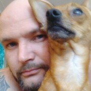 ���������� ��������, ���� ������� ����������, 44 ����, ������������ ��� ������, ����� � ���������