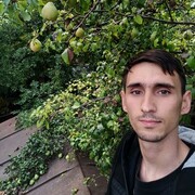  ,   , 31 ,   ,   , c , 