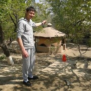  ,   Amir, 33 ,     , c 