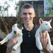 ���������� ������, ���� ������� �����, 36 ���, ������������ ��� ������, ����� � ���������, c�������� ���������