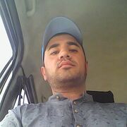  ,  Fir, 38