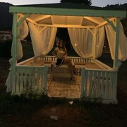 ���������� ������, ���� ������� ��������, 38 ���, ������������ ��� ������, ����� � ���������