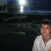 ���������� ���������, ������� ������, 38