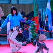 ���������� Etampes-sur-Marne, ���� ������� �������, 47 ���, ������������ ��� c�������� ���������