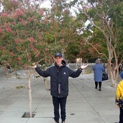 ���������� ���������, ���� ������� �������, 28 ���, ������������ ��� ������, ����� � ���������, c�������� ���������, ���������