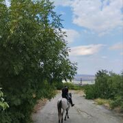 ���������� ����������� ����, ���� ������� ���������, 31 ���, ������������ ��� ����� � ���������, c�������� ���������, ���������