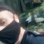 ���������� ����������, ���� ������� �����, 36 ���, ������������ ��� ������, ����� � ���������, c�������� ���������, ���������