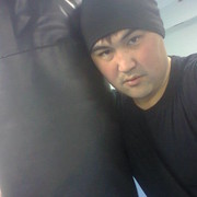 ���������� ��������, ���� ������� Mustang, 37 ���, ������������ ��� ������, ����� � ���������, c�������� ���������