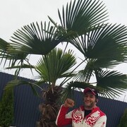 ���������� ���������, ���� ������� ������, 39 ���, ������������ ��� ������, ����� � ���������, c�������� ���������, ���������