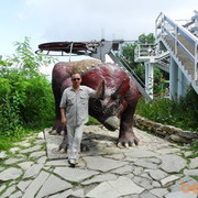  ,   , 55 ,   