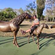 ���������� �������, ���� ������� ����, 35 ���, ������������ ��� ������, ����� � ���������, c�������� ���������