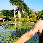 ���������� �������, ���� ������� ������, 41 ���, ������������ ��� ������, ����� � ���������, c�������� ���������, ���������