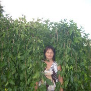 ���������� ���������, ���� ������� �����, 55 ���, ������������ 