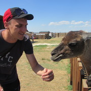 ���������� ����, ���� ������� ��������, 35 ���, ������������ ��� ������, ����� � ���������, c�������� ���������