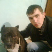 ���������� ���������, ���� ������� �����, 38 ���, ������������ ��� ������, ����� � ���������, c�������� ���������