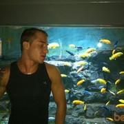 ���������� ������, ���� ������� Dima22, 40 ���, ������������ ��� ����� � ���������, c�������� ���������