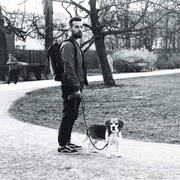 ���������� �����������, ���� ������� ����, 35 ���, ������������ ��� ������, ����� � ���������, c�������� ���������, ���������