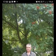  ,   , 51 ,   c , 