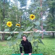  ,   , 37 ,   ,   , c 