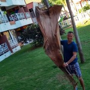 ���������� ������-��-����, ���� ������� ������, 43 ����, ������������ ��� ������, ����� � ���������, c�������� ���������