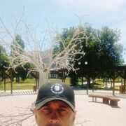 ���������� �����������, ���� ������� �������, 38 ���, ������������ ��� ������, ���������