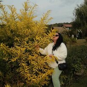 ���������� �������, ���� ������� �������, 43 ����, ������������ ��� ������, ����� � ���������