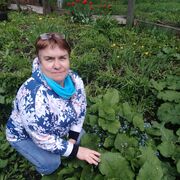 ,   , 54 ,   ,   